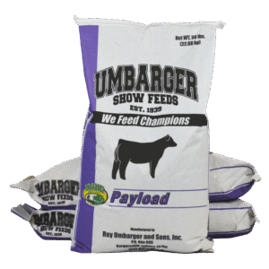 payload