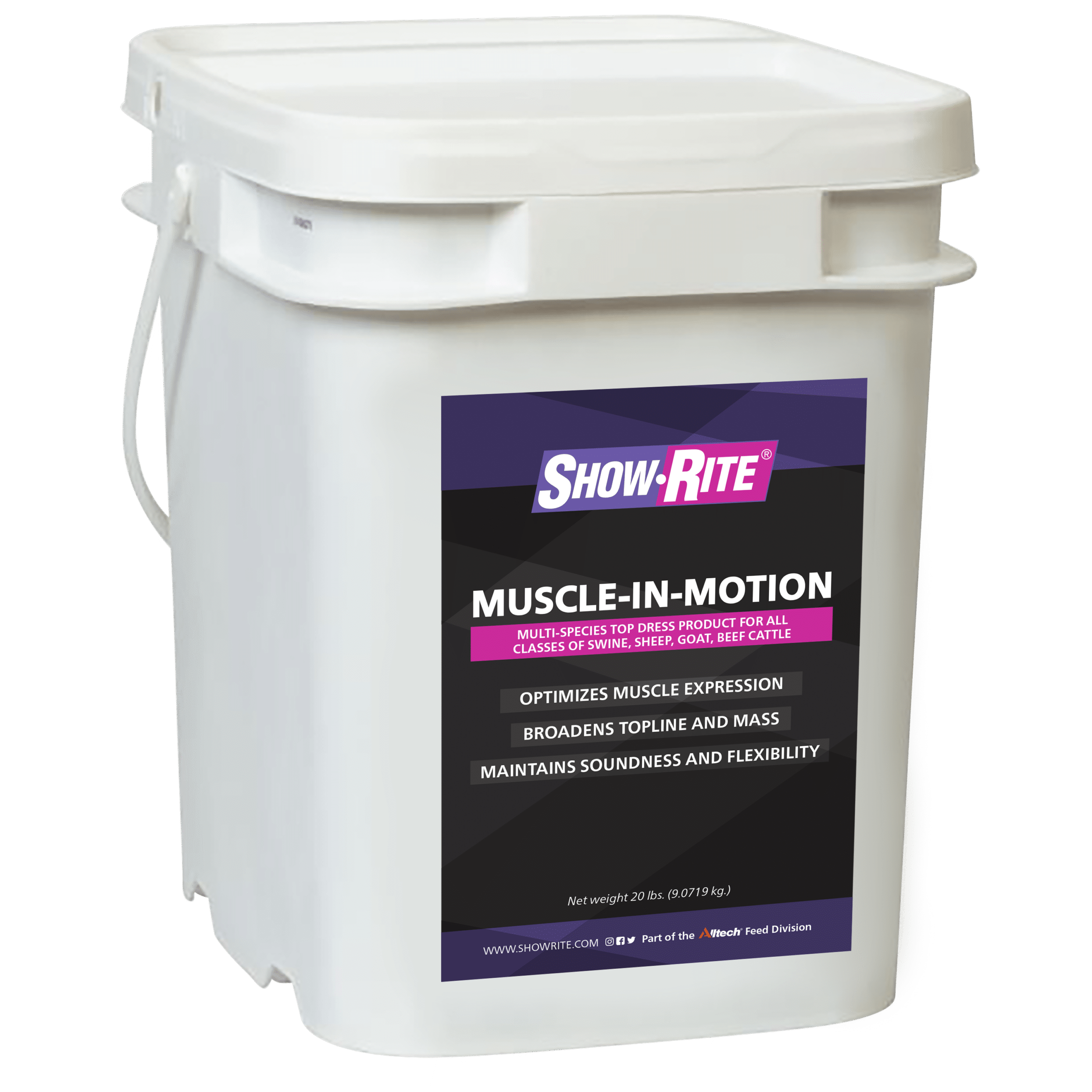 muscle n motion