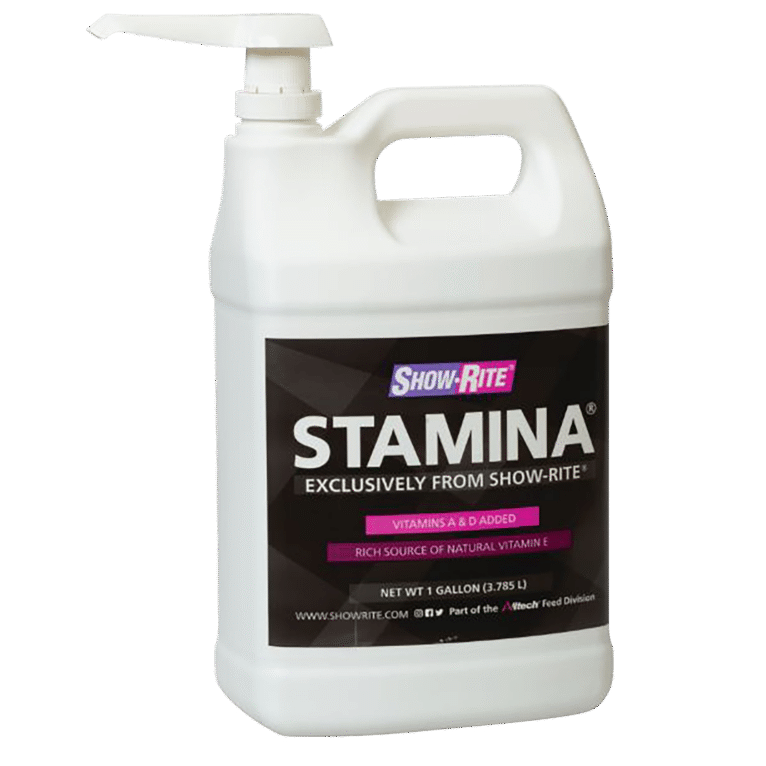 stamina